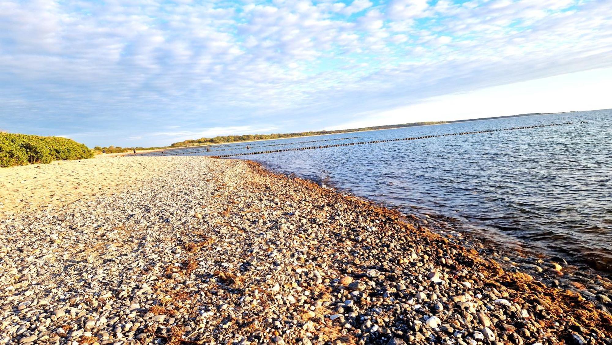 App 8O Grosser Tag Am Meer Mit Wasserblick Dranske Εξωτερικό φωτογραφία