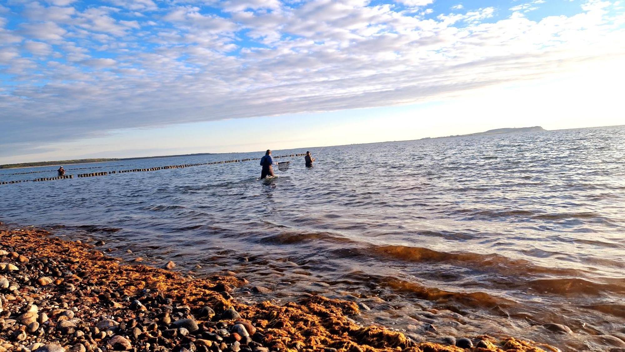 App 8O Grosser Tag Am Meer Mit Wasserblick Dranske Εξωτερικό φωτογραφία